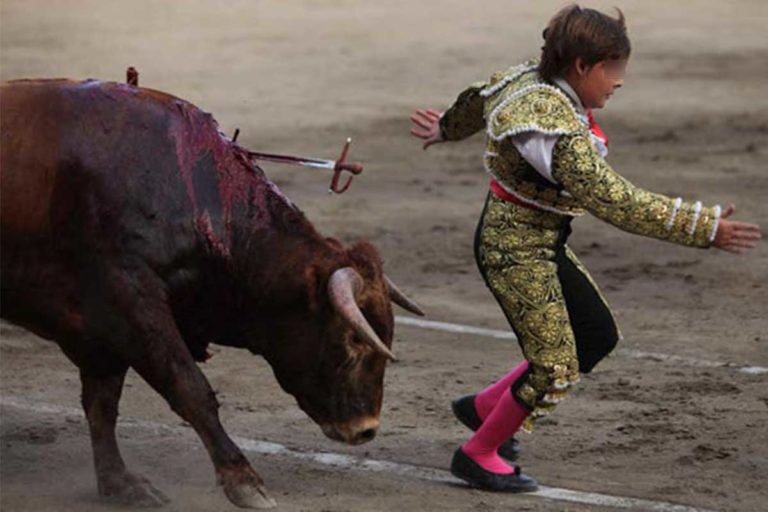 Ninez-sin-Tauromaquia-Maltrato-Defensa-ANIMAL-HEROES-Slider-1-768×512