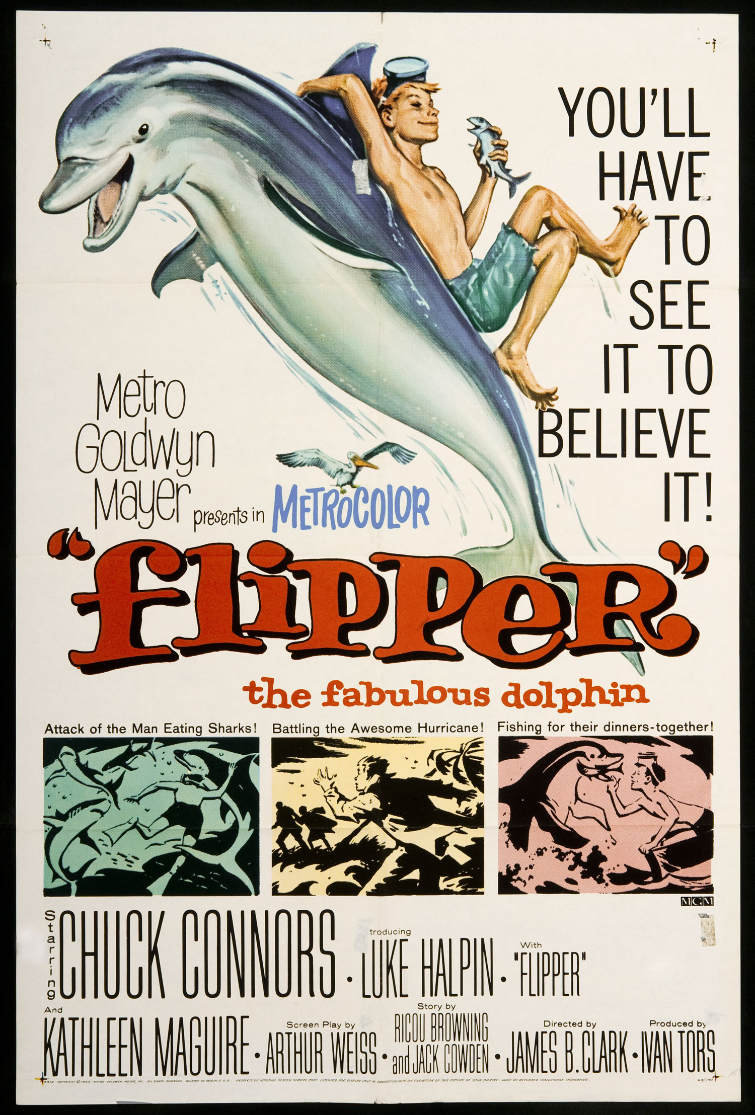 Flipper_1963_movie_poster