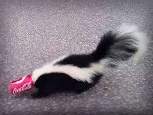 Animales atrapados en basura mortal.