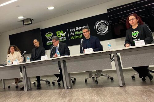 243131172_4647243978659924_4128007777445604457_n